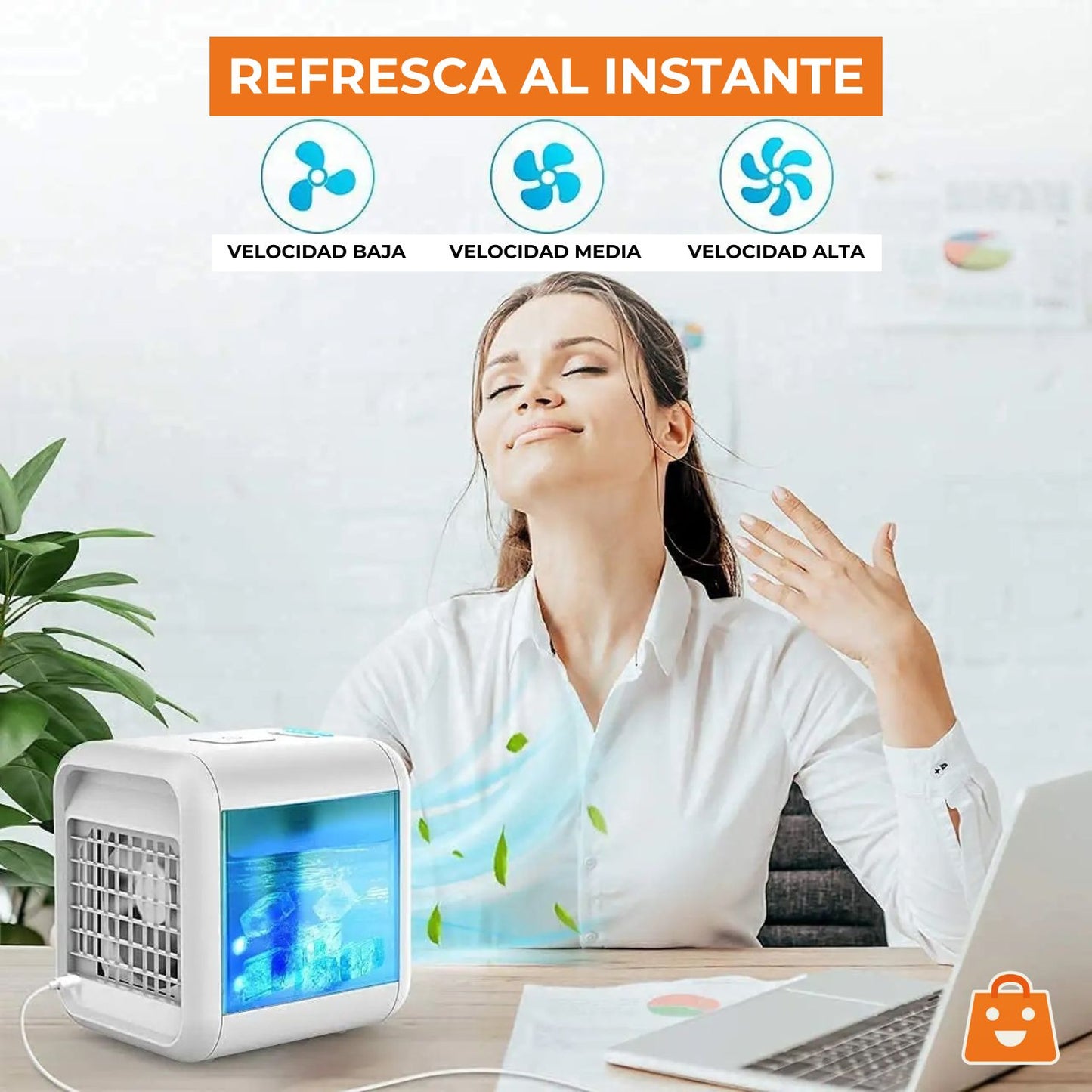 MINI AIRE ALEGRE